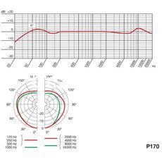 Ремонт AKG P170