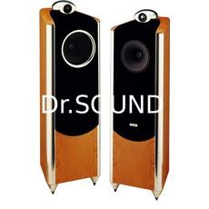 Ремонт Tannoy Dimension TD8