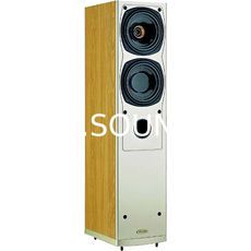 Ремонт Tannoy Saturn S6