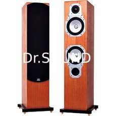 Ремонт Monitor Audio GOLD Reference 20