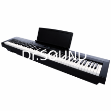 Ремонт цифрового пианино Grace BP-90