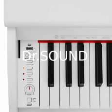 Ремонт цифрового пианино Grace CP-100