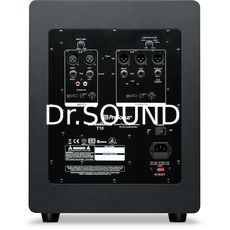 Ремонт PreSonus Temblor T10