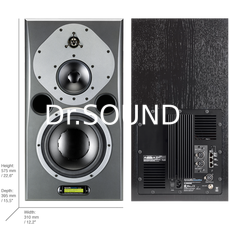 Ремонт Dynaudio AIR20 Master A+D