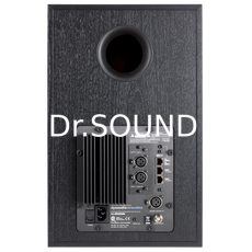 Ремонт Dynaudio AIR15 Master A+D