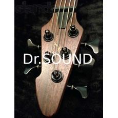 Ремонт PEAVEY Grind Bass 5 BXP NTB