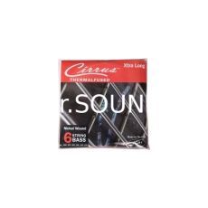 Ремонт PEAVEY Cirrus Bass String 6XL