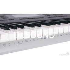 Ремонт CASIO CTK-4200 (синтезатор)