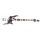Ремонт PEAVEY Zodiac BXP White