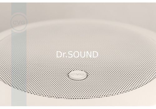 Ремонт CVGaudio CRX5T
