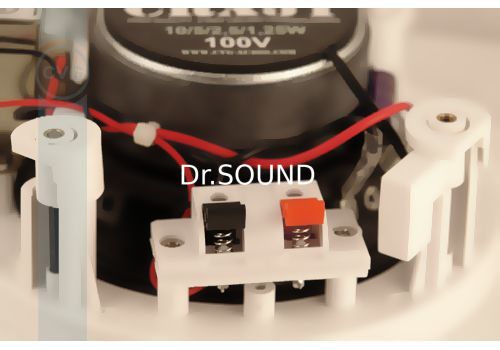 Ремонт CVGaudio CRX5T