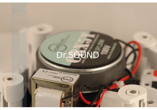 Ремонт CVGaudio CRX5T