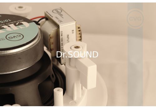 Ремонт CVGaudio CRX5T