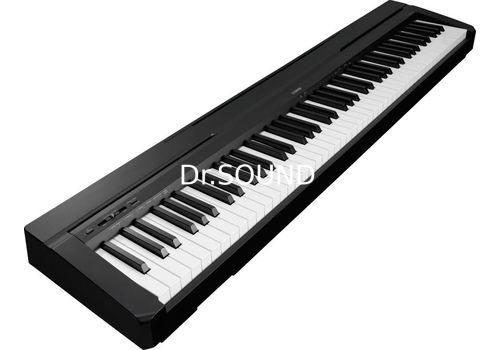Ремонт YAMAHA P-45B