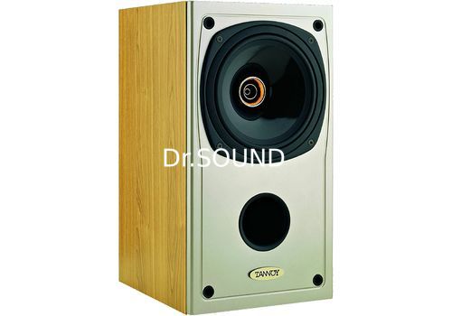 Ремонт Tannoy Saturn S6LR