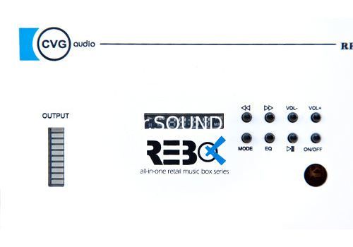 Ремонт CVG ReBox-A15