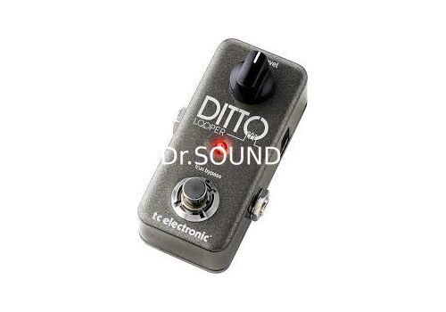 Ремонт TC Electronic DITTO LOOPER